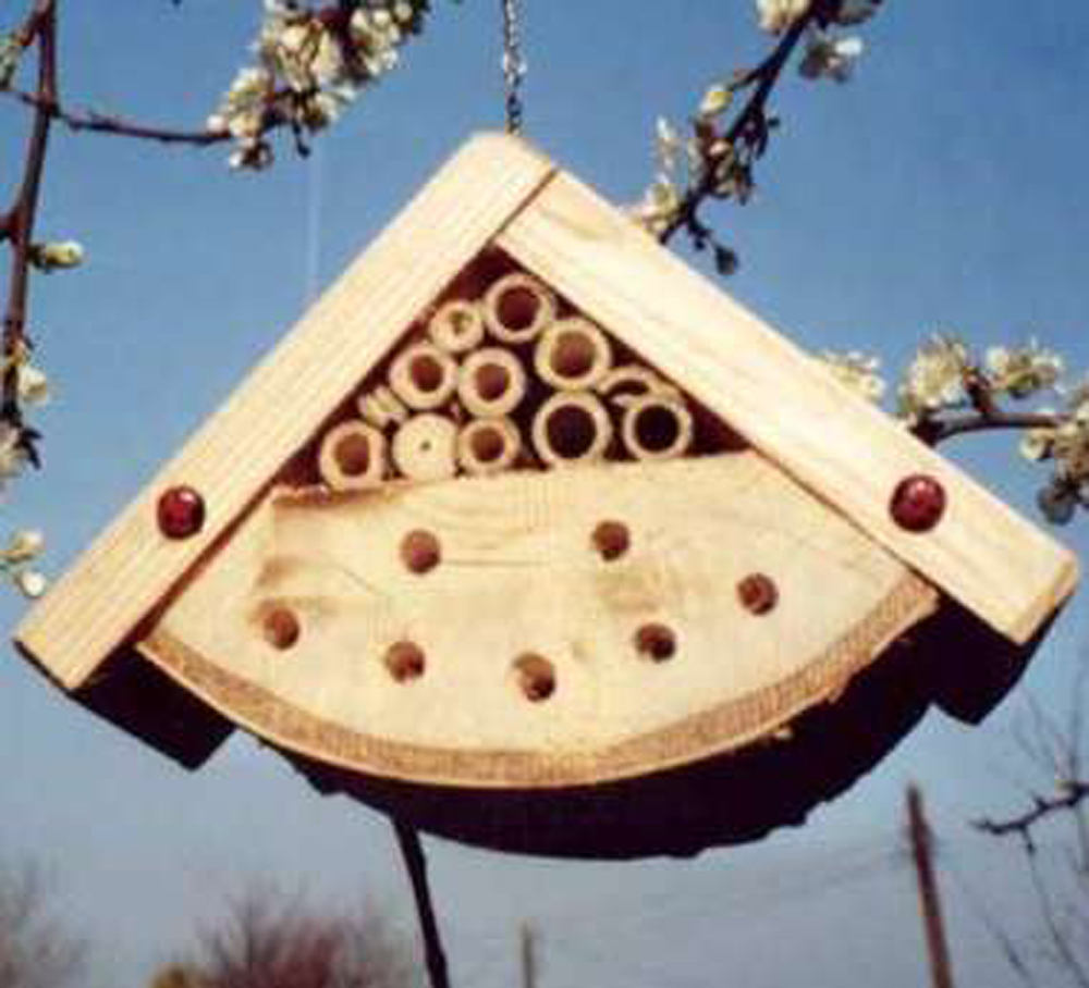 Double Chamber Beneficial Insects Box Wildlife Care Insects